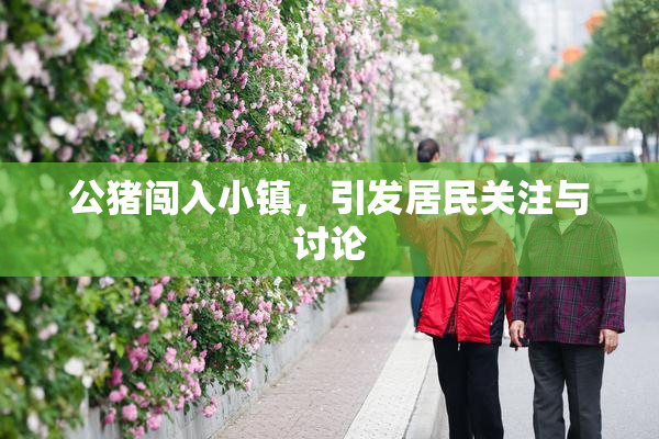 公猪闯入小镇，引发居民关注与讨论