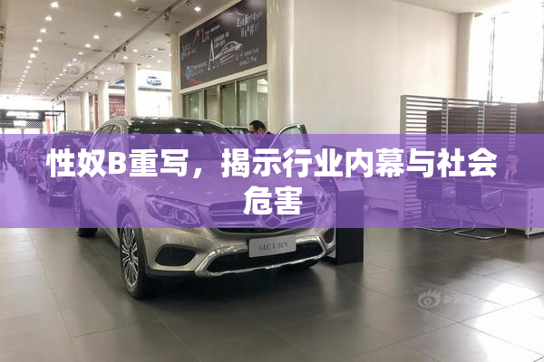 性奴B重写，揭示行业内幕与社会危害