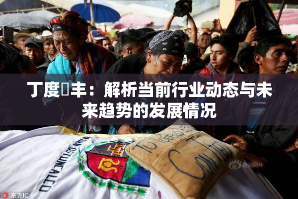 丁度巜丰：解析当前行业动态与未来趋势的发展情况