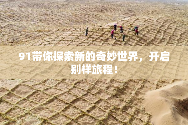91带你探索新的奇妙世界，开启别样旅程！