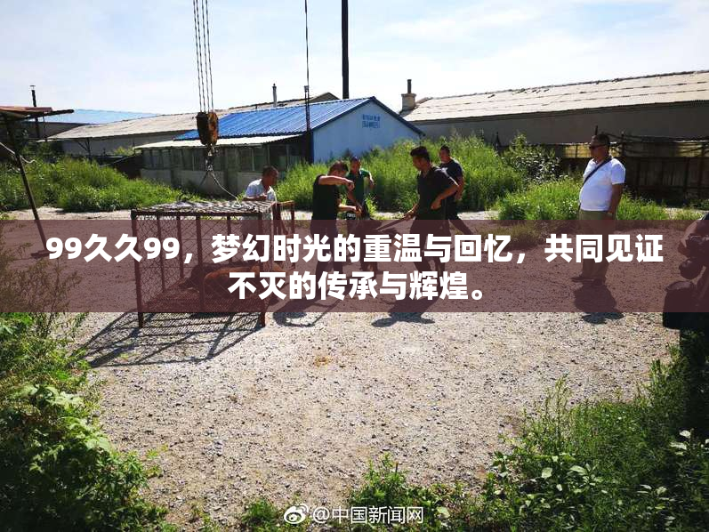 99久久99，梦幻时光的重温与回忆，共同见证不灭的传承与辉煌。