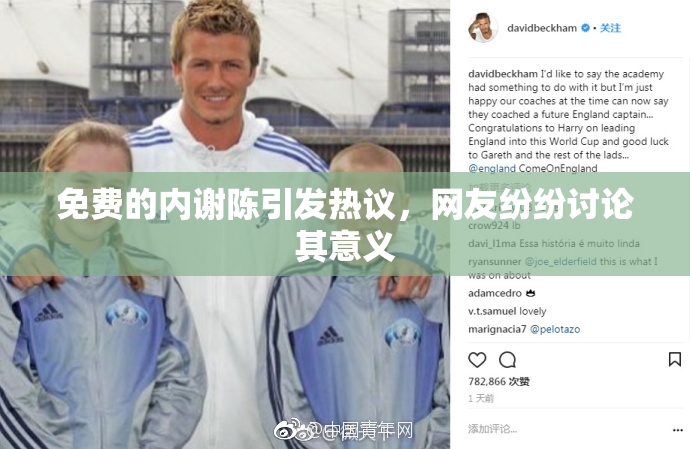免费的内谢陈引发热议，网友纷纷讨论其意义