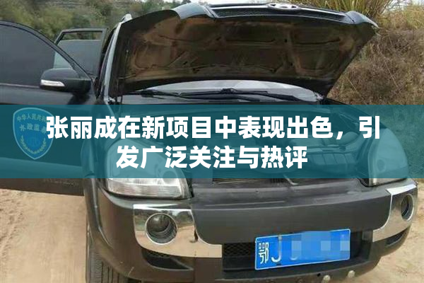 张丽成在新项目中表现出色，引发广泛关注与热评