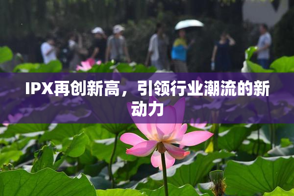 IPX再创新高，引领行业潮流的新动力