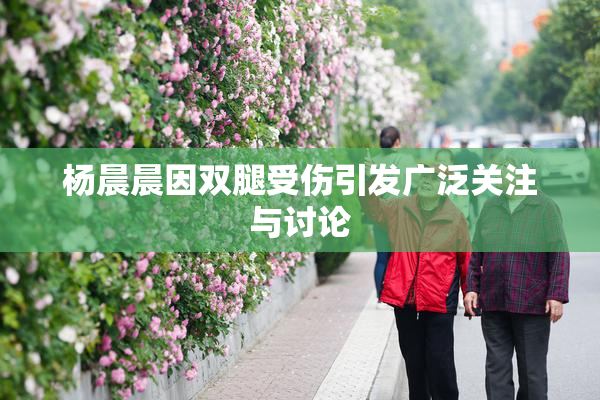 杨晨晨因双腿受伤引发广泛关注与讨论