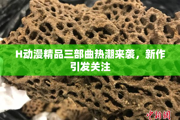 H动漫精品三部曲热潮来袭，新作引发关注