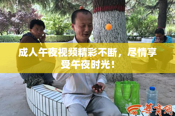成人午夜视频精彩不断，尽情享受午夜时光！
