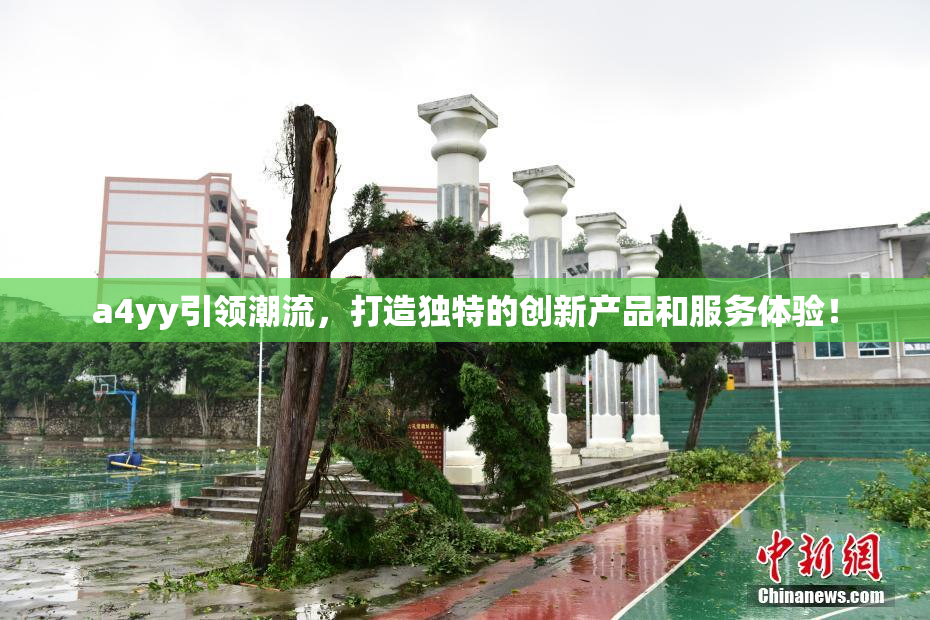 a4yy引领潮流，打造独特的创新产品和服务体验！