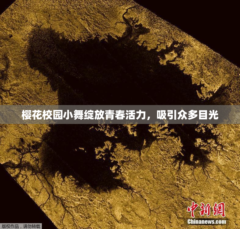 樱花校园小舞绽放青春活力，吸引众多目光