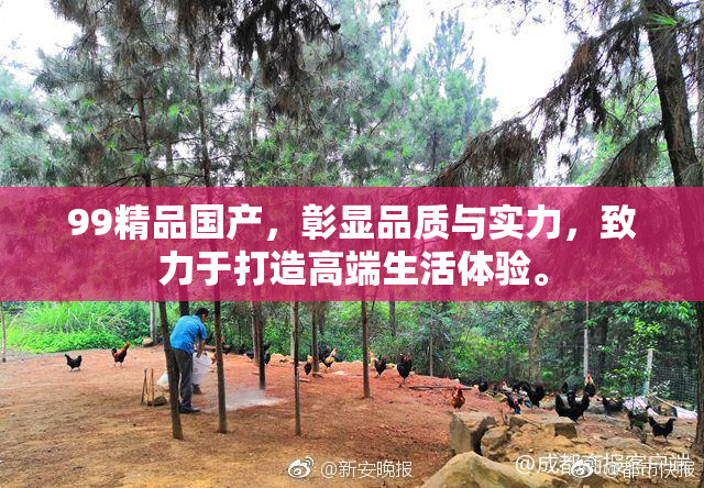 99精品国产，彰显品质与实力，致力于打造高端生活体验。