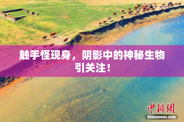 触手怪现身，阴影中的神秘生物引关注！