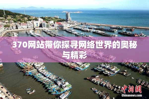 370网站带你探寻网络世界的奥秘与精彩