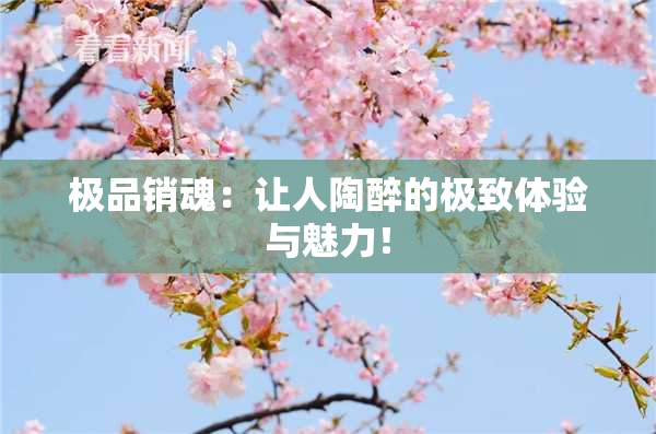极品销魂：让人陶醉的极致体验与魅力！
