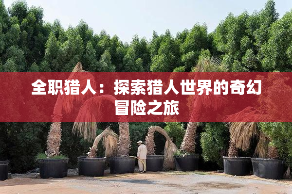 全职猎人：探索猎人世界的奇幻冒险之旅