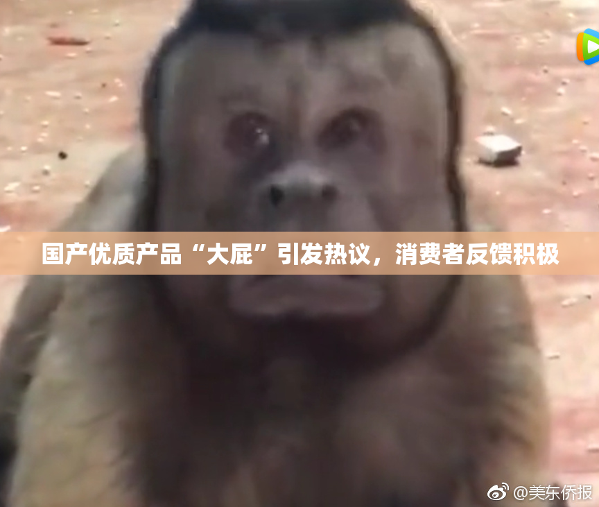 国产优质产品“大屁”引发热议，消费者反馈积极