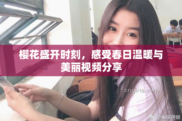 樱花盛开时刻，感受春日温暖与美丽视频分享
