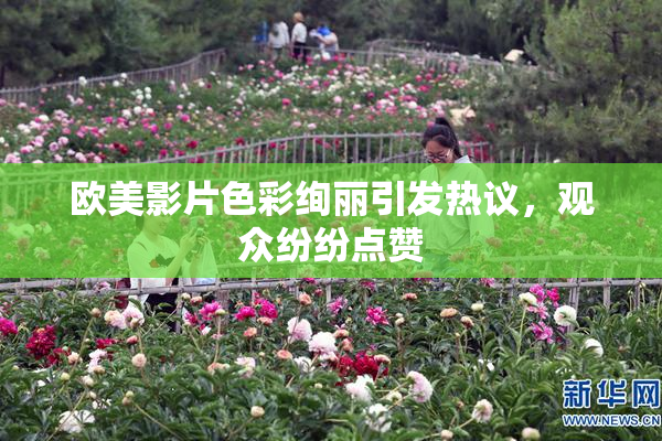 欧美影片色彩绚丽引发热议，观众纷纷点赞