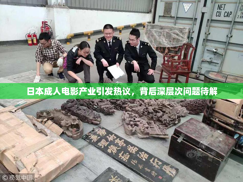 日本成人电影产业引发热议，背后深层次问题待解