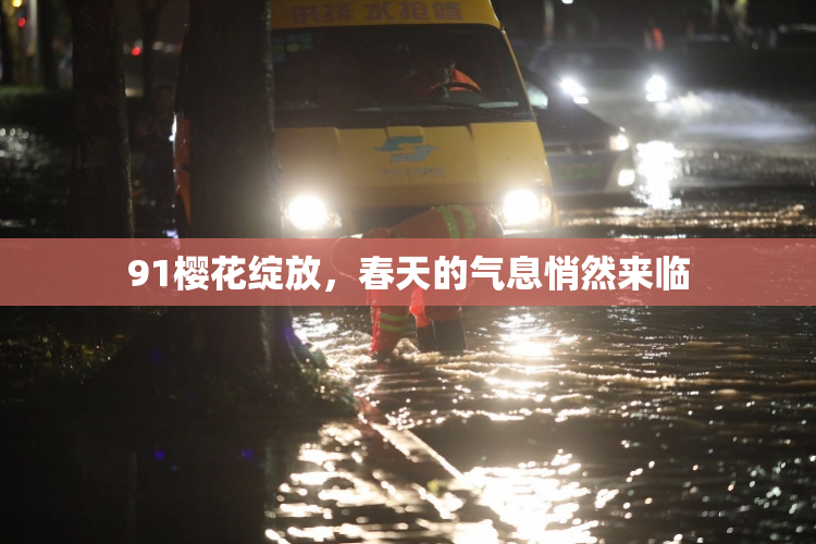 91樱花绽放，春天的气息悄然来临