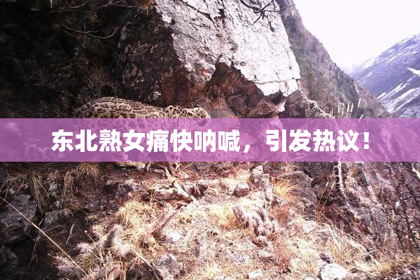 东北熟女痛快呐喊，引发热议！