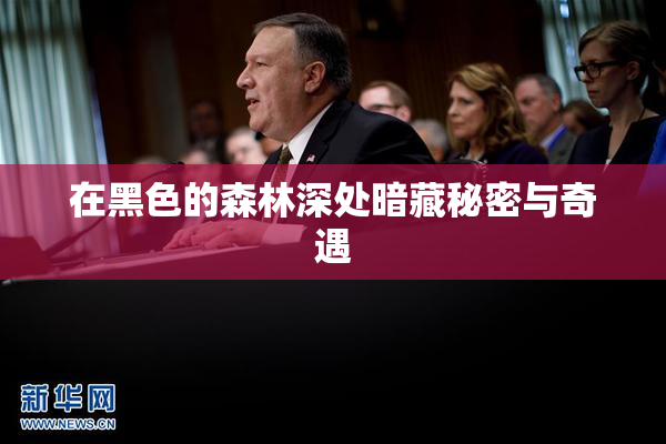 在黑色的森林深处暗藏秘密与奇遇