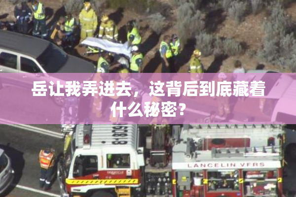 岳让我弄进去，这背后到底藏着什么秘密？