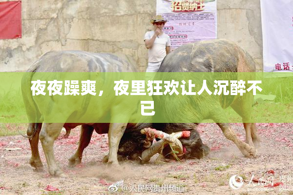 夜夜躁爽，夜里狂欢让人沉醉不已