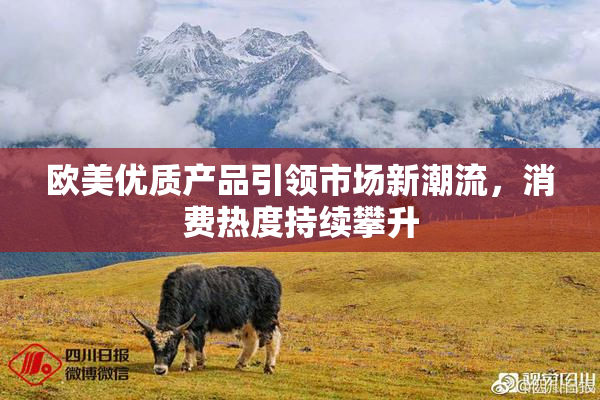 欧美优质产品引领市场新潮流，消费热度持续攀升