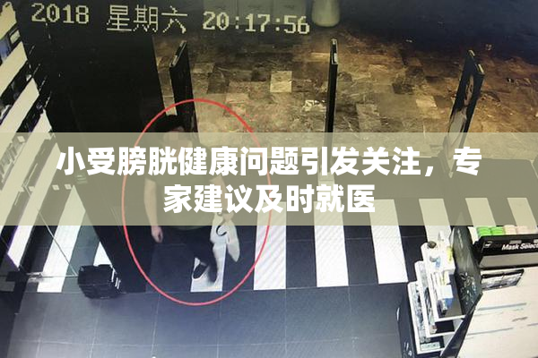 小受膀胱健康问题引发关注，专家建议及时就医