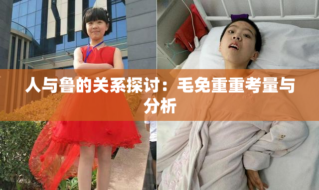 人与鲁的关系探讨：毛免重重考量与分析