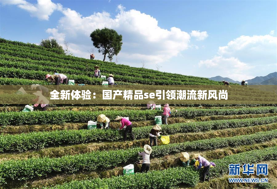 全新体验：国产精品se引领潮流新风尚