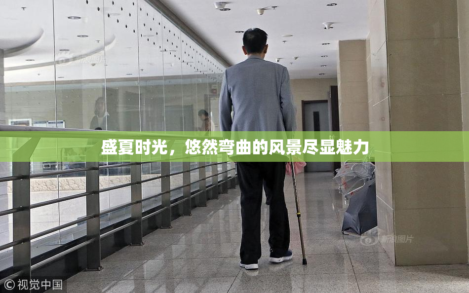 盛夏时光，悠然弯曲的风景尽显魅力