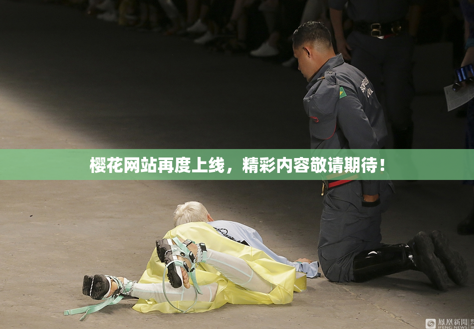 樱花网站再度上线，精彩内容敬请期待！