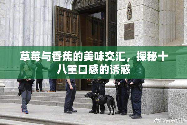 草莓与香蕉的美味交汇，探秘十八重口感的诱惑