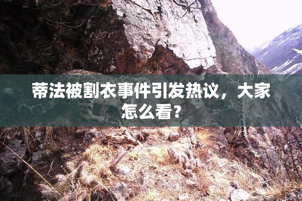 蒂法被割衣事件引发热议，大家怎么看？
