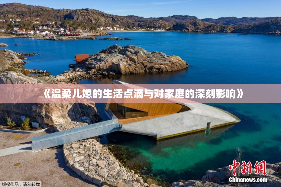《温柔儿媳的生活点滴与对家庭的深刻影响》