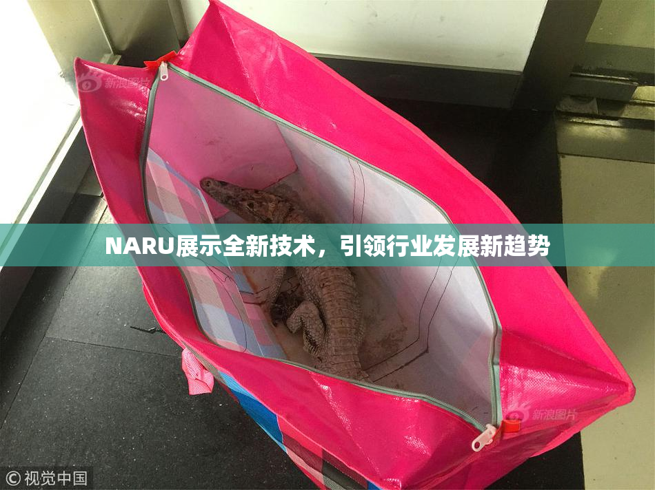NARU展示全新技术，引领行业发展新趋势