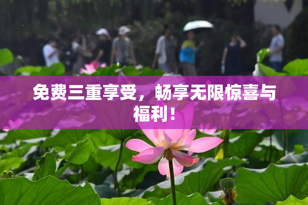 免费三重享受，畅享无限惊喜与福利！