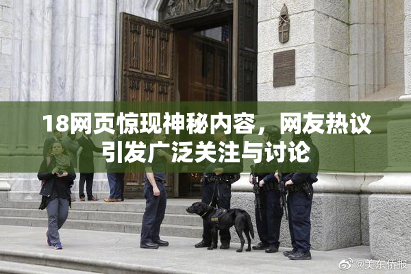 18网页惊现神秘内容，网友热议引发广泛关注与讨论