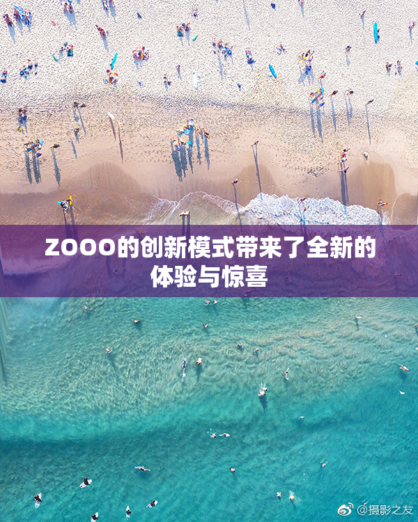ZOOO的创新模式带来了全新的体验与惊喜