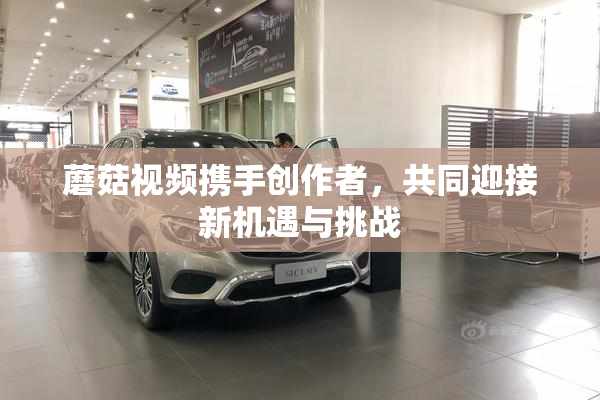 蘑菇视频携手创作者，共同迎接新机遇与挑战
