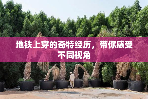地铁上穿的奇特经历，带你感受不同视角