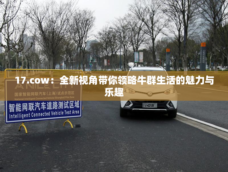 17.cow：全新视角带你领略牛群生活的魅力与乐趣