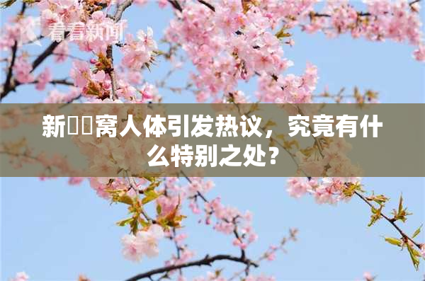 新妺妺窝人体引发热议，究竟有什么特别之处？