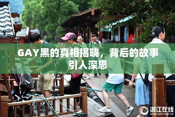GAY黑的真相揭晓，背后的故事引人深思