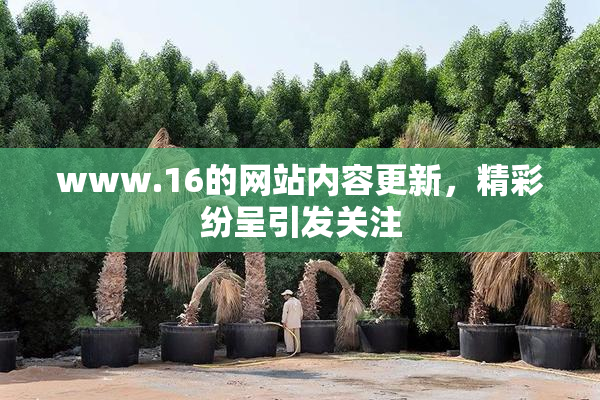 www.16的网站内容更新，精彩纷呈引发关注