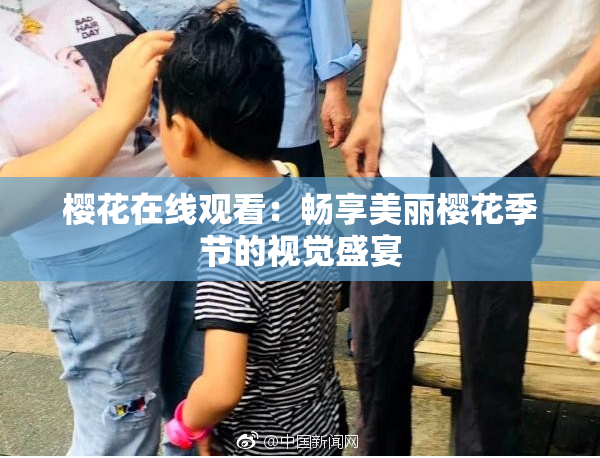 樱花在线观看：畅享美丽樱花季节的视觉盛宴