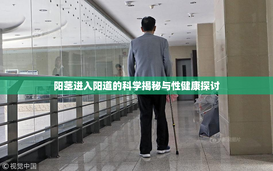 阳茎进入阳道的科学揭秘与性健康探讨