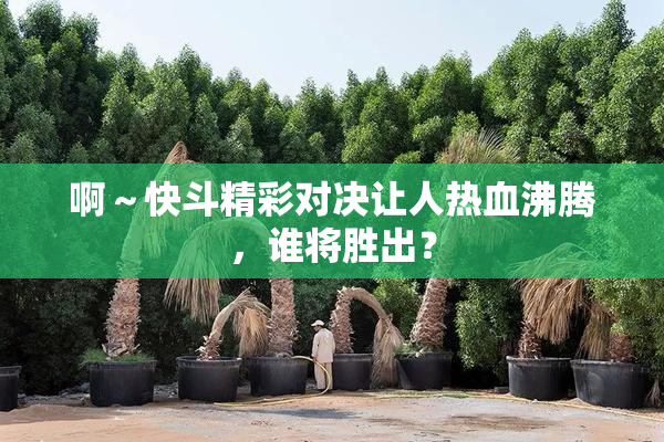 啊～快斗精彩对决让人热血沸腾，谁将胜出？