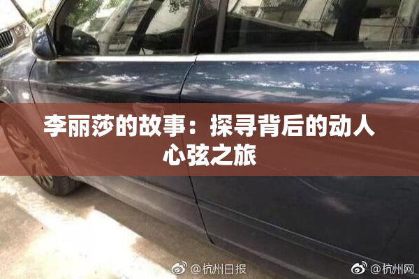 李丽莎的故事：探寻背后的动人心弦之旅